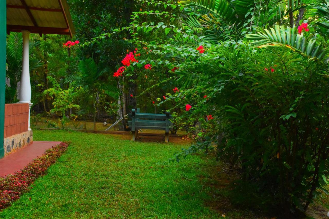 Leesa Villa Safari Resort 우다왈라웨 외부 사진